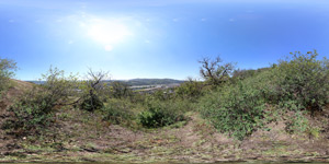 Vorschau Panoramabild