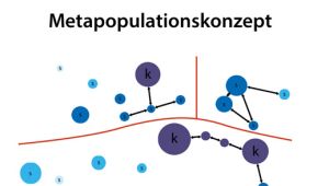 Metapopulationskonzept
