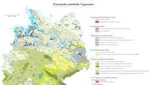Potentiell natürliche Vegetation (pnV) Deutschlands