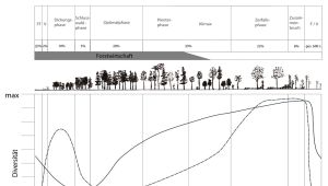 Waldsukzession und Biodiversitätsdynamik